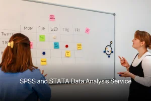 SPSS and STATA Data Analysis Service