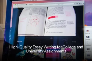 High-Quality Essay Writing for College and University Assignments